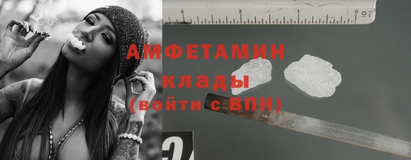 соль ск Алзамай