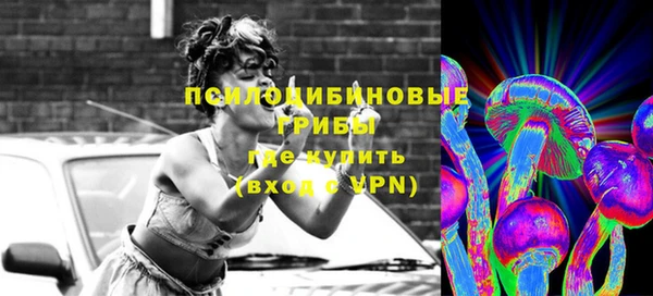 PSILOCYBIN Алексеевка