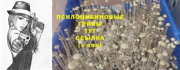 mdpv Абдулино