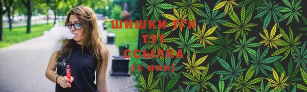 соль ск Алзамай